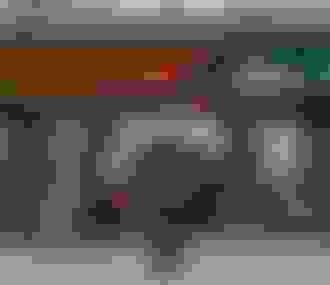 Roid sous le pont du RER B à Aubervilliers le long du canal Saint-Denis pour la Street Art Avenue