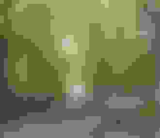 Forêt domaniale de Saint Germain