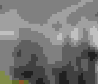 squelettes d&%2523039;animaux du musée Fragonard de l&%2523039;Ecole Vétérinaire de Maisons-Alfort