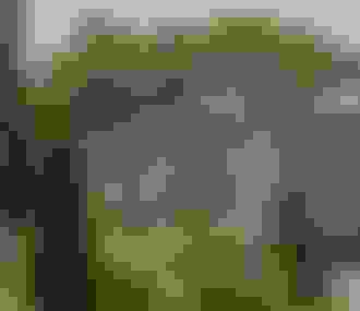 Château de Malmaison_Rueil-Malmaison