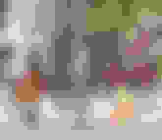 Provins%252C la légende des Chevaliers