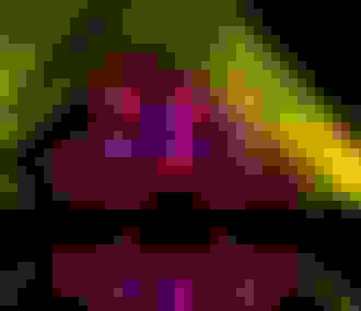 Lumières en Seine_Seine_Saint_Cloud