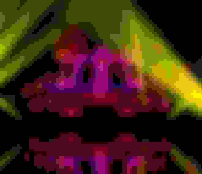 Lumières en Seine_Seine_Saint_Cloud