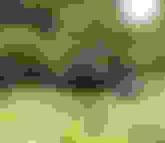 Randonnée dans les Hauts-de-Seine