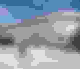 Paris La Défense Arena