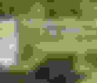 Application Balade Branchée