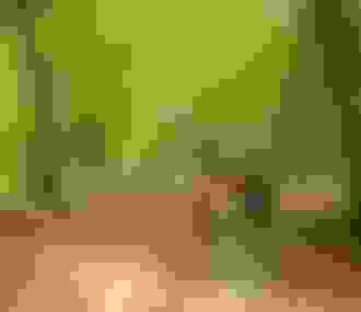 Randonnée en famille