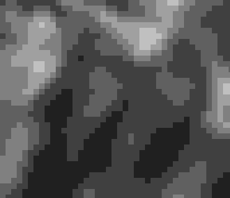 2 femmes souriantes avec des lunettes de soleil à la Mutinerie