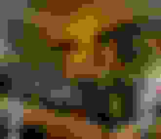 Barman derrière le bar auquel sont accoudées deux personnes