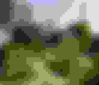 Café Rose Bakery _ Maison de Balzac