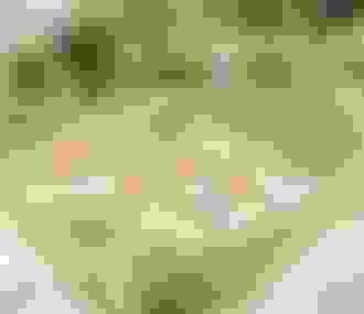 Table extérieure de petit déjeuner  à la Minotte