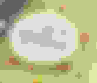 Christophe Michalak%252C bûche Noël