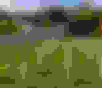 Cimetière américain de Suresnes