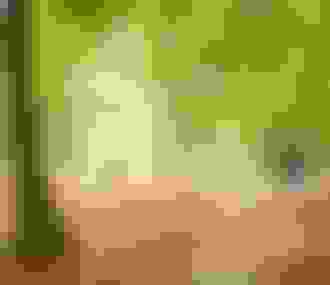 Randonnée pédestre