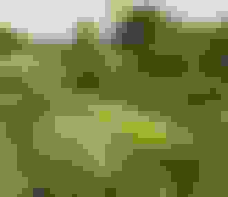 Vue sur les jardins du conservatoire National des Plantes