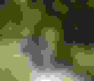 Coulée verte du sud parisien%252C cyclistes du 77