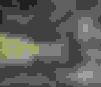 Coureurs lors de l&%2523039;Ecotrail