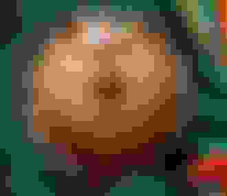 Cyril Lignac _ Collection Pâques