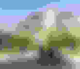 Façade de l&%2523039;église Saint Eustache à Paris dans le quartier des Halles