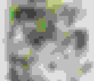 Tableau "Visite le Crocorome de Zig et Puce"