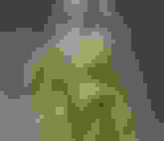 Robe exposition Passion XVIIIe siècle