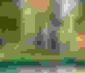 Couple se promenant en forêt de Rambouillet