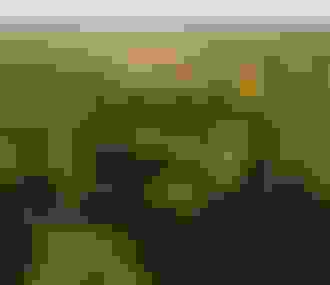 Forêt de Dourdan%252C vue aérienne