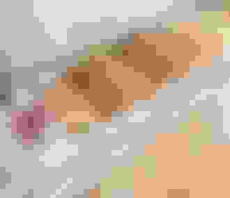 Fou de Pâtisserie Boutique _ 36 rue des Martyrs