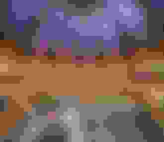 Intérieur des Galeries Lafayette