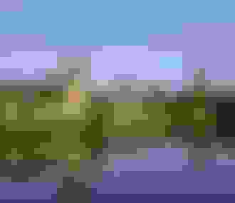 Hameau de la Reine derrière un plan d&%2523039;eau%252C Versailles