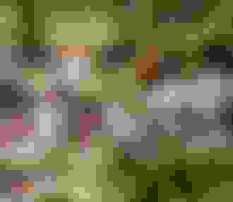 Terrasse du restaurant de l&%2523039;Hôtel Amour%252C Paris 2017.