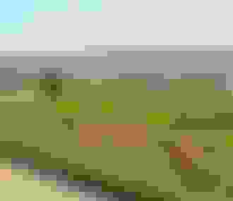 Jardins du château de Versailles