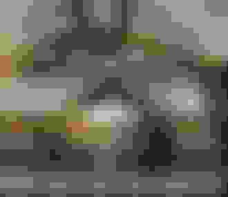 Patinoire sous la verrière du Grand Palais.