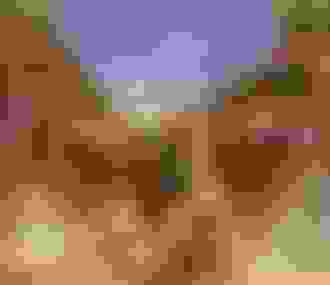 Spectacle%252C Le Roi Lion sur scène