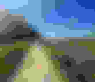 Balade à vélo sur un sentier à côté d&%2523039;un champ de tournesols