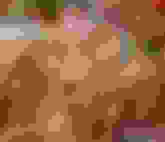 Intérieur du magasin de jouet Pain d&%2523039;épices