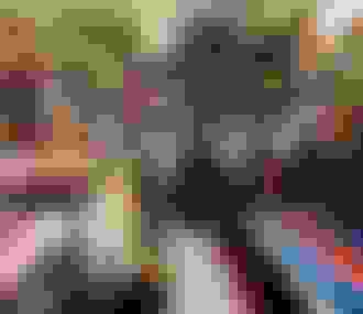 Marché Saint-Pierre Dreyfus