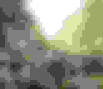 Marché Bastille%252C Paris 11e