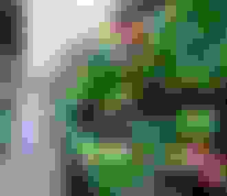 Allée du marché aux fleurs