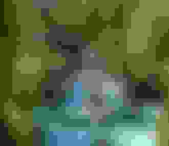 Jardins de la mosquée de Paris