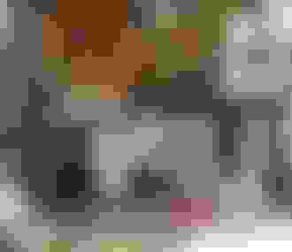 Musée de l&%2523039;atelier de Rosa Bonheur