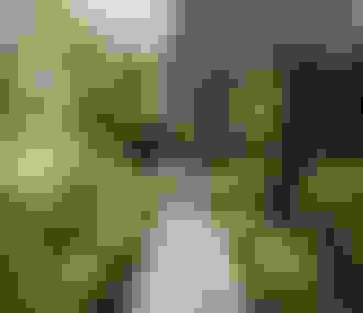 Musée Eugène Delacroix