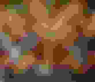 Visiteurs sur le manège de vélocipèdes