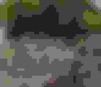 Terrasse du Papa Cabane