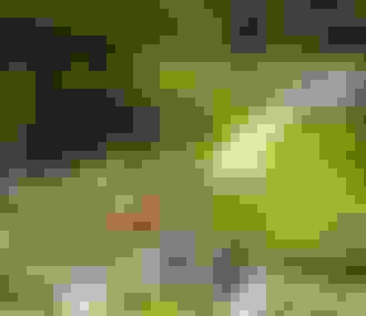 Parc départemental de l&%2523039;Ile Saint-Germain