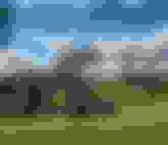 Parc Floral de Paris