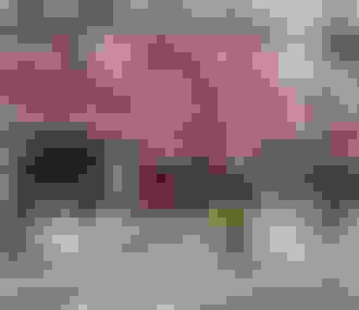 Cyclistes dans les rues de la capitale