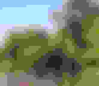 Couple dans une barque sur le Lac Daumesnil%252C Bois de Vincennes%252C 2017.