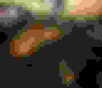 Restaurant Pierre Sang Expériences