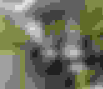 Personnes attablées à la terrasse du Bal Café